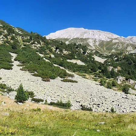 Apartmanica Double With Balcony 101-30 St Ivan Rilski Apartment Bansko